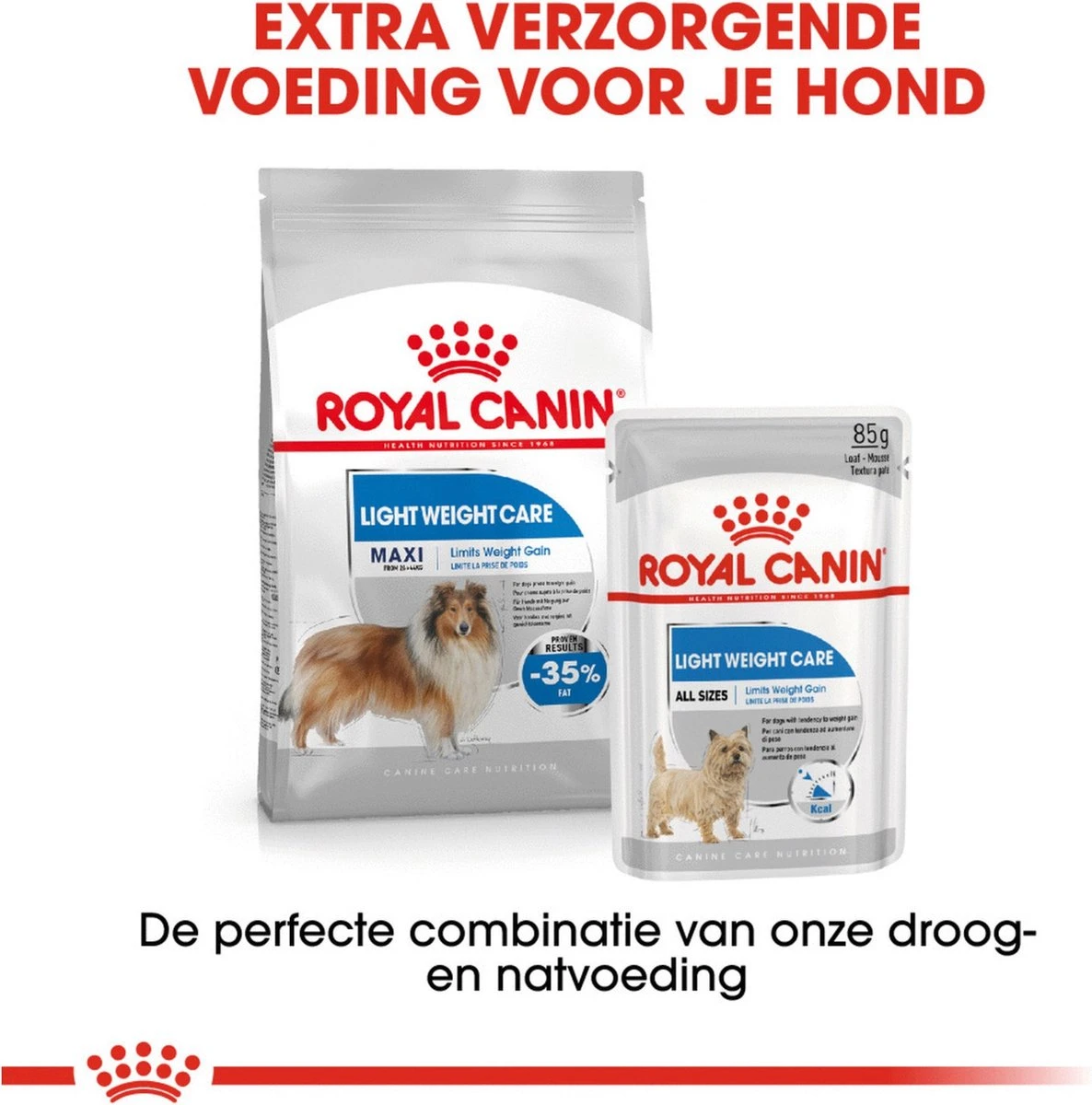 Royal Canin Light Weight Care Maxi - Hondenvoer - 12 Kg 12 Royal Canin Light Weight Care Maxi - Hondenvoer - 12 Kg - Afbeelding 10