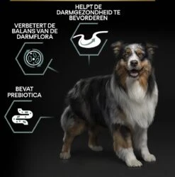 Pro Plan Medium Adult Sensitive Digestion - Honden Droogvoer - Lam - 14 Kg 30 Pro Plan Medium Adult Sensitive Digestion - Honden Droogvoer - Lam - 14 Kg -Hondenspullen Verkoop 1187x1200