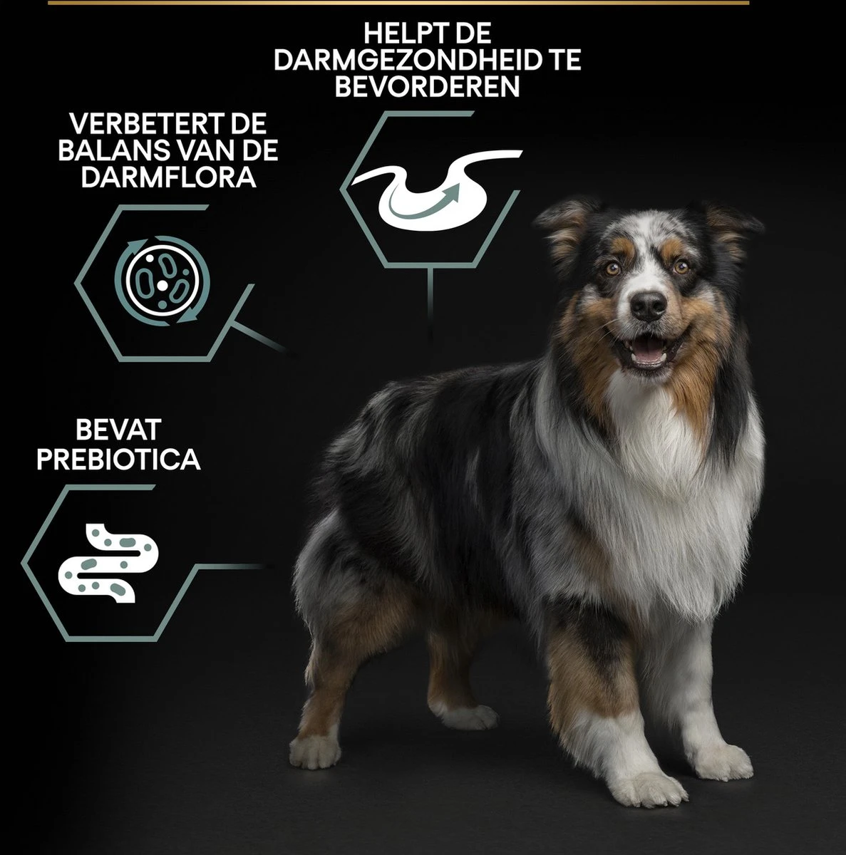 Pro Plan Medium Adult Sensitive Digestion - Honden Droogvoer - Lam - 14 Kg 15 Pro Plan Medium Adult Sensitive Digestion - Honden Droogvoer - Lam - 14 Kg - Afbeelding 13