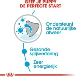 Royal Canin Shn Mini Puppy Pouch - Hondennatvoer - 12 X 85 G 22 Royal Canin Shn Mini Puppy Pouch - Hondennatvoer - 12 X 85 G -Hondenspullen Verkoop 1188x1200 2