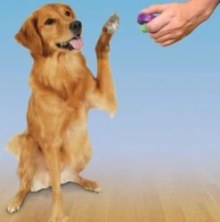 Petsafe Clicker Voor Training -Hondenspullen Verkoop 1188x1200 3