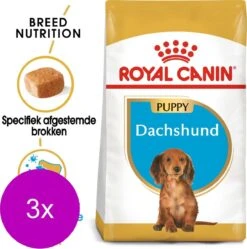 Royal Canin Bhn Dachshund Puppy - Hondenvoer - 3 X 1.5 Kg 7 Royal Canin Bhn Dachshund Puppy - Hondenvoer - 3 X 1.5 Kg -Hondenspullen Verkoop 1189x1200 1
