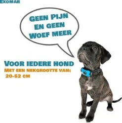 Exomar® Anti Blafband Voor Honden Blafband Anti Blaf Apparaat Blafband Zonder Schok - Diervriendelijk -Hondenspullen Verkoop 1189x1200 4