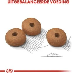 Royal Canin Ccn Light Weight Care Mini - Hondenvoer - 3 Kg 25 Royal Canin Ccn Light Weight Care Mini - Hondenvoer - 3 Kg -Hondenspullen Verkoop 1190x1200 2