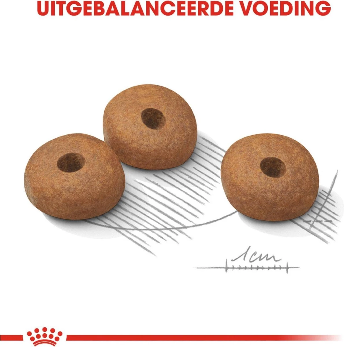 Royal Canin Ccn Light Weight Care Mini - Hondenvoer - 3 Kg 7 Royal Canin Ccn Light Weight Care Mini - Hondenvoer - 3 Kg - Afbeelding 5