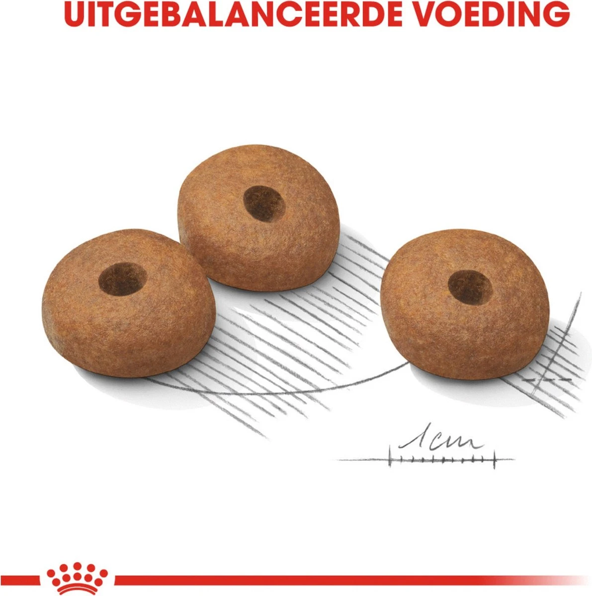 Royal Canin Light Weight Care Medium - Hondenvoer - 12 Kg 5 Royal Canin Light Weight Care Medium - Hondenvoer - 12 Kg - Afbeelding 3