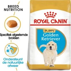 Hondenspullen Verkoop -Hondenspullen Verkoop 1191x1200 5