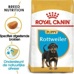 Royal Canin Rottweiler Junior 12 KG -Hondenspullen Verkoop 1194x1200 1