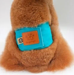 Merkloos Hondenluier Voor Kleine Hond - Luier Voor Reu - Buikband Maat S 27 Cm X 25 Cm -Hondenspullen Verkoop 1194x1200 10