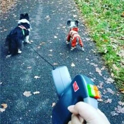 Merkloos Dubbele Hondenriem Voor Twee Honden - Grijs - Tot 22 Kg (per Hond) - 300 Cm 16 Merkloos Dubbele Hondenriem Voor Twee Honden - Grijs - Tot 22 Kg (per Hond) - 300 Cm -Hondenspullen Verkoop 1198x1200 22