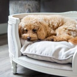 Lord Lou - George Blauw Velvet S - Luxe Hondenmand - Luxe Kattenmand - 49x40x31 -Hondenspullen Verkoop 1198x1200 23