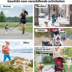 Filo Elastische Hondenriem Groot - Hardlopen En Wandelen - Hardloopriem Hond Handsfree Met Heuptasje - Looplijn Met Heupriem - Canicross Gordel Honden - Riemen - Heupgordel - Leiband -Hondenspullen Verkoop 1199x1200 12