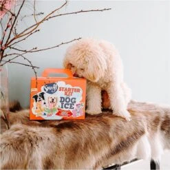 Smoofl Honden Lekkernij - Starter Kit Om Je Eigen Honden Ijs Te Maken, Kit Met 2 Ijsmixen Voor Honden, Pindakaas En Aardbei Smaak, Een Pootvormige Silicone Vorm - Voor 4 Hondenijsjes -Hondenspullen Verkoop 1199x1200 2