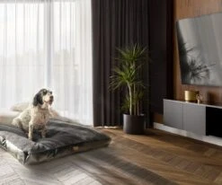 PrimePlus Hondenkussen XL Antraciet - 120x80x10 CM - Zacht En Luxe Hondenmand - Hondenbed - Hondenmat - Orthopedisch Hondenkussens 19 PrimePlus Hondenkussen XL Antraciet - 120x80x10 CM - Zacht En Luxe Hondenmand - Hondenbed - Hondenmat - Orthopedisch Hondenkussens -Hondenspullen Verkoop 1200x1000 11