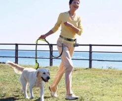 Canicross Looplijn Hond Met Heupriem Voor Hardlopen - Elastische Handsfree Hondenriem - Honden Trainingslijn - 150/210cm - Zwart -Hondenspullen Verkoop 1200x1000 7