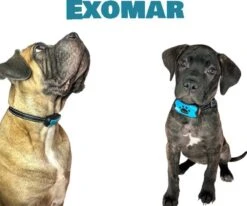 Exomar® Anti Blafband Voor Honden Blafband Anti Blaf Apparaat Blafband Zonder Schok - Diervriendelijk -Hondenspullen Verkoop 1200x1003 1