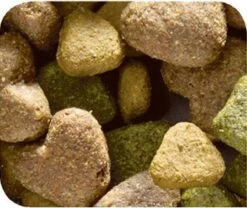 VERSELE-LAGA Happy Life Adult - Kip - Hondenvoer - 15 Kg 11 VERSELE-LAGA Happy Life Adult - Kip - Hondenvoer - 15 Kg -Hondenspullen Verkoop 1200x1010 1