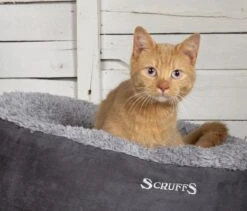 Scruffs Cosy Kattenmand - Comfortabel En Voordelig Met Zachte Binnenvoering En Imitatie Suède Buitenvoering - 3 Kleuren - Ø 45 Cm - Karamel -Hondenspullen Verkoop 1200x1024 1