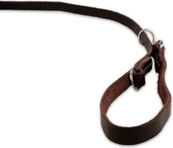 Multifunctionele Hondenriem - 220cm - Bruin - Leren Hondenriem - 100% Volnerfleer - Hondenriem Leer - Leiband Hond 19 Multifunctionele Hondenriem - 220cm - Bruin - Leren Hondenriem - 100% Volnerfleer - Hondenriem Leer - Leiband Hond -Hondenspullen Verkoop 1200x1026 3