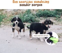 Dubbele Honden Riem – Leiband Hond – Hondenlijn – Looplijn Hond – 2 Honden – 3 Meter – Tot 12kg Per Hond – Reflecterende Lijnen – Met Zaklamp – 360° Draaien – Verstelbaar - Navy Blauw 16 Dubbele Honden Riem – Leiband Hond – Hondenlijn – Looplijn Hond – 2 Honden – 3 Meter – Tot 12kg Per Hond – Reflecterende Lijnen – Met Zaklamp – 360° Draaien – Verstelbaar - Navy Blauw -Hondenspullen Verkoop 1200x1035 1