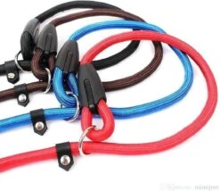 Merkloos Nylon Trainingslijn Voor Honden - Hondenriem - Blauw - Tot 5 Kg -Hondenspullen Verkoop 1200x1038 1