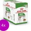 Royal Canin Shn Mini Adult Pouch - Hondenvoer - 4 X 12 X 85 G -Hondenspullen Verkoop 1200x1042