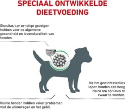 Royal Canin Satiety Small Dog - Hondenvoer - 8 Kg -Hondenspullen Verkoop 1200x1043