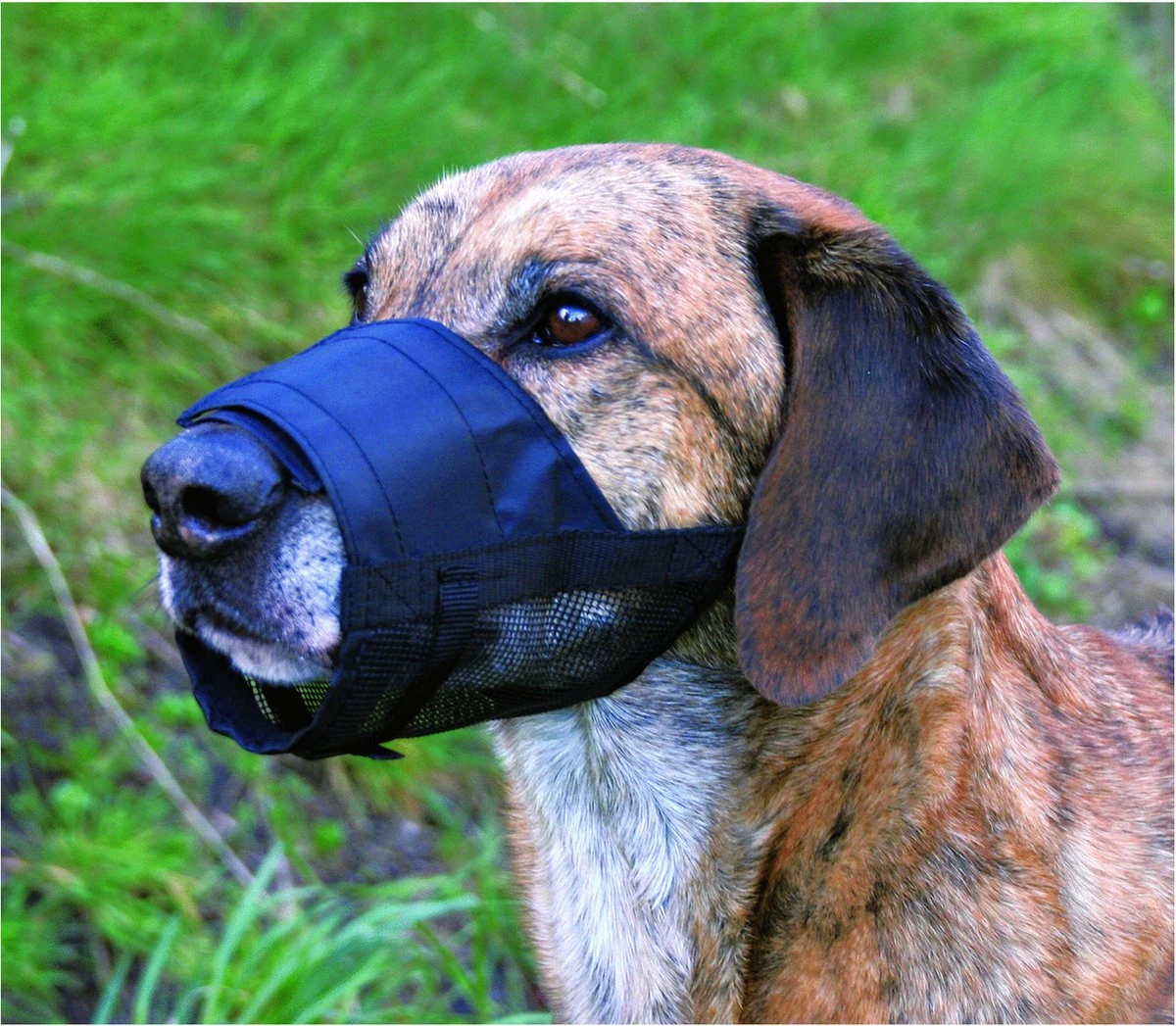 Trixie Muilkorf Polyester Met Gaas Inzet Zwart (M 19-26 CM) 4 Trixie Muilkorf Polyester Met Gaas Inzet Zwart (M 19-26 CM) - Afbeelding 2