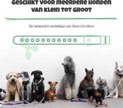 Anti Blafband Met Afstandsbediening - Blafband Voor Honden - Anti Blaf Apparaat Zonder Schok - Twee In Een Trainingshalsband -Hondenspullen Verkoop 1200x1055 2