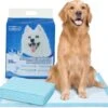 Nobleza 48WQF - Puppy Training Pads - 60 X 90 Cm - Zindelijkheidstraining -50 Stuks - L 2 Nobleza 48WQF - Puppy Training Pads - 60 X 90 Cm - Zindelijkheidstraining -50 Stuks - L -Hondenspullen Verkoop 1200x1061 3