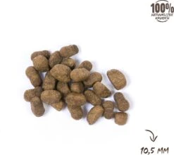 VITALstyle SPIEREN+GEWRICHTEN - Hondenbrokken - 12 Kg -Hondenspullen Verkoop 1200x1067