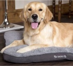 Scruffs Cosy - Comfortabel Hondenkussen In Grijs, Beige Of Karamel - Met Imitatie Suède Buitenvoering En Superzachte Binnenvoering - 100 X 70 Cm - Grijs -Hondenspullen Verkoop 1200x1080 2