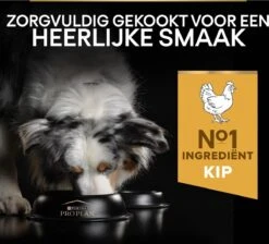 Pro Plan Medium Adult Everyay Nutrition - Honden Droogvoer - Kip - 14 Kg -Hondenspullen Verkoop 1200x1087 1