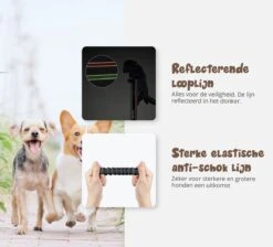 Hardloopriem Hond – Honden Riem Handsfree – Hardlopen Met Hond – 160-260 Cm Groen- Hardloopband Hond – Halsband Hond – Hondenlijn – Leiband Hond -Hondenspullen Verkoop 1200x1087 10