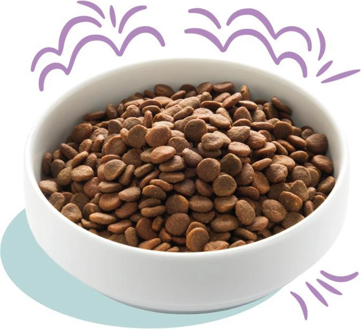 Edgard & Cooper Hondenvoer Puppy Verse Zalm En Kalkoen 7 Kg 6 Edgard & Cooper Hondenvoer Puppy Verse Zalm En Kalkoen 7 Kg - Afbeelding 4