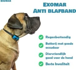 Exomar® Anti Blafband Voor Honden Blafband Anti Blaf Apparaat Blafband Zonder Schok - Diervriendelijk -Hondenspullen Verkoop 1200x1101 2