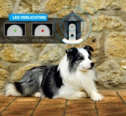 Vulpes Pets® Anti Blaf Apparaat Pro - Anti Blafband Voor Alle Honden - Luxe Hondentrainer - Diervriendelijk & Zonder Schok - Inclusief 9V Batterij - Waterbestendig - Ophangbaar - Instelbare Ultrasone Niveauregeling - 4 Standen -Hondenspullen Verkoop 1200x1102 2