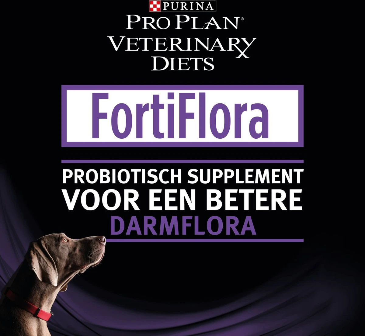 Pro Plan Veterinary Diets - FortiFlora Canine - Probiotic - 30 X 1 Gram 8 Pro Plan Veterinary Diets - FortiFlora Canine - Probiotic - 30 X 1 Gram - Afbeelding 6
