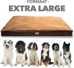 PrimePlus Hondenkussen XL Antraciet - 120x80x10 CM - Zacht En Luxe Hondenmand - Hondenbed - Hondenmat - Orthopedisch Hondenkussens 17 PrimePlus Hondenkussen XL Antraciet - 120x80x10 CM - Zacht En Luxe Hondenmand - Hondenbed - Hondenmat - Orthopedisch Hondenkussens -Hondenspullen Verkoop 1200x1112 1