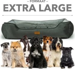 Primeplus Grote Hondenmand XL - Grijs - 100x80x20 CM - Orthopedische Hondenmanden - Hondenkussen -Hondenspullen Verkoop 1200x1114 11