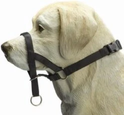 Beeztees Dog Control - Halsband Hond - Zwart - M-Speciaal -Hondenspullen Verkoop 1200x1114 13