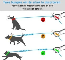 Oak's First Elastische En Diervriendelijke Looplijn Met Heupriem - Hondenriem - 150cm/210cm - Grijs 12 Oak's First Elastische En Diervriendelijke Looplijn Met Heupriem - Hondenriem - 150cm/210cm - Grijs -Hondenspullen Verkoop 1200x1114 9