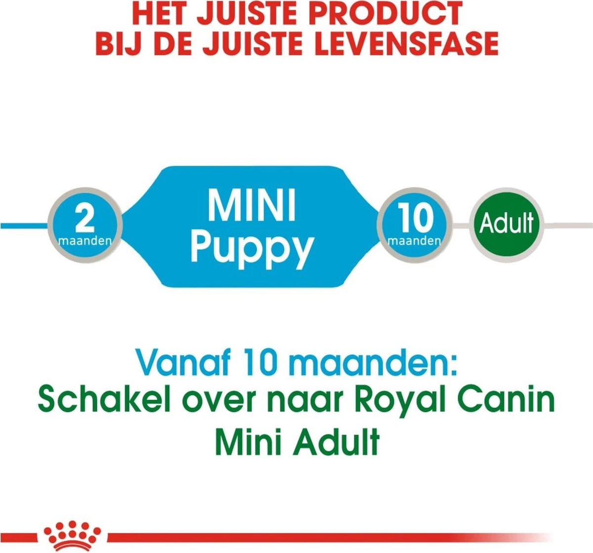 Royal Canin Shn Mini Puppy Pouch - Hondennatvoer - 12 X 85 G 11 Royal Canin Shn Mini Puppy Pouch - Hondennatvoer - 12 X 85 G - Afbeelding 9