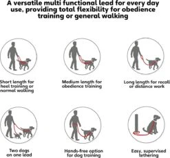Company Of Animals Halti Trainingslijn - Large - 2 Meter - Verstelbaar - Zwart -Hondenspullen Verkoop 1200x1119 1