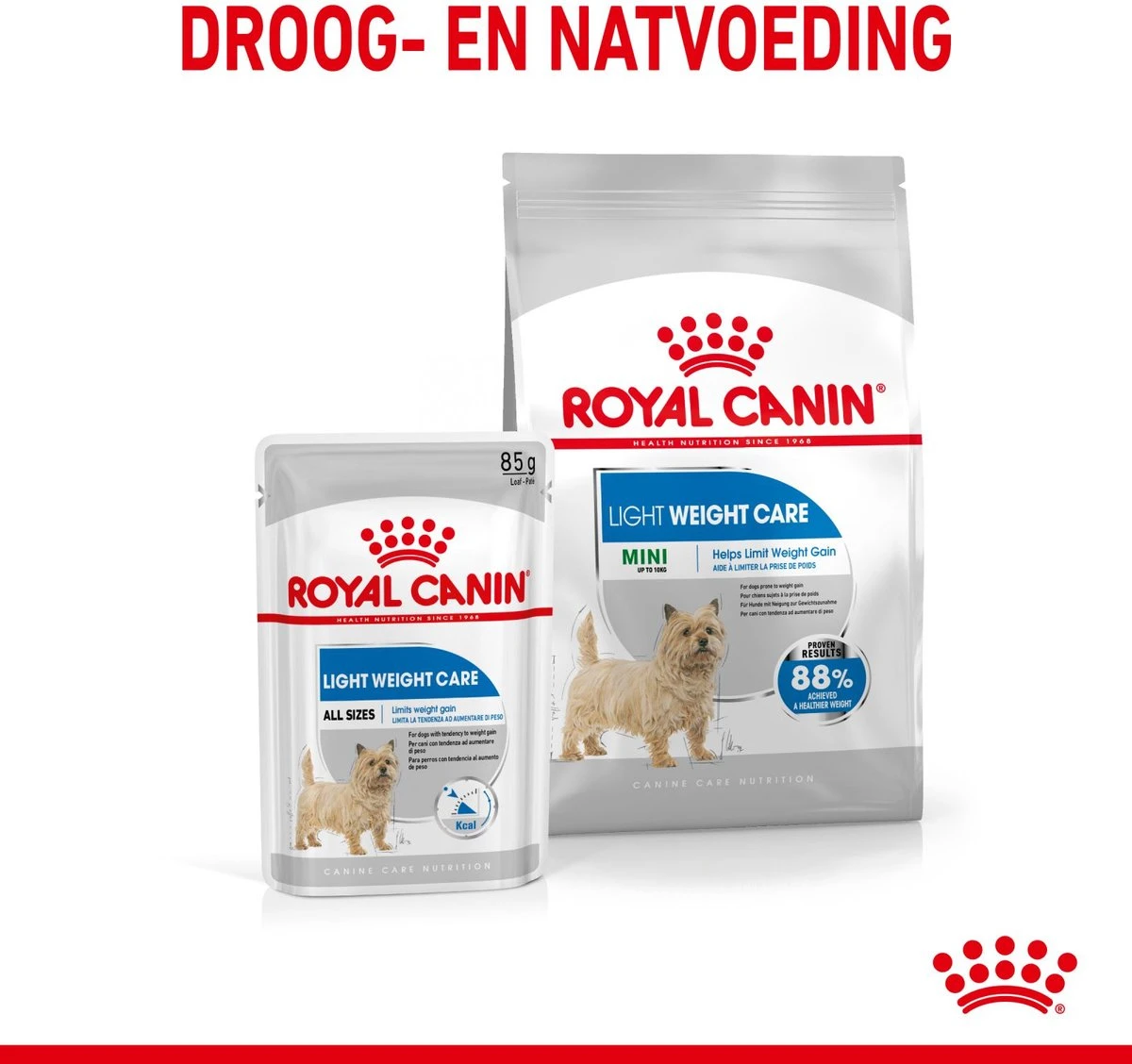 Royal Canin Ccn Light Weight Care Mini - Hondenvoer - 3 Kg 8 Royal Canin Ccn Light Weight Care Mini - Hondenvoer - 3 Kg - Afbeelding 6