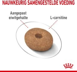 Royal Canin Ccn Light Weight Care Mini - Hondenvoer - 3 Kg 24 Royal Canin Ccn Light Weight Care Mini - Hondenvoer - 3 Kg -Hondenspullen Verkoop 1200x1128