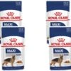 Royal Canin Shn Maxi Adult Pouch - Hondenvoer - 4 X 10 X 140 G 1 Royal Canin Shn Maxi Adult Pouch - Hondenvoer - 4 X 10 X 140 G -Hondenspullen Verkoop 1200x1128 3