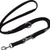 DDOXX Hondenriem Air Mesh, 3-voudig Verstelbaar, 2m | Voor Kleine & Grote Honden | Dubbele Riem Twee Honden Kat Puppy | Tug Leash Large | Lead Leash Small | Walking Leash Puppy Leash | Zwart, XS -Hondenspullen Verkoop 1200x1133 2