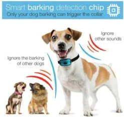 Merkloos Anti Blafband Voor Honden Blafband Anti Blaf Apparaat Blafband Zonder Schok - Diervriendelijk 13 Merkloos Anti Blafband Voor Honden Blafband Anti Blaf Apparaat Blafband Zonder Schok - Diervriendelijk -Hondenspullen Verkoop 1200x1133 4