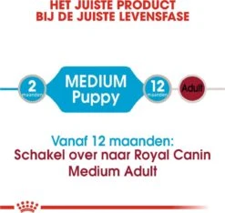 Royal Canin Shn Medium Puppy Pouch - Hondenvoer - 10 X 140 G -Hondenspullen Verkoop 1200x1135 8